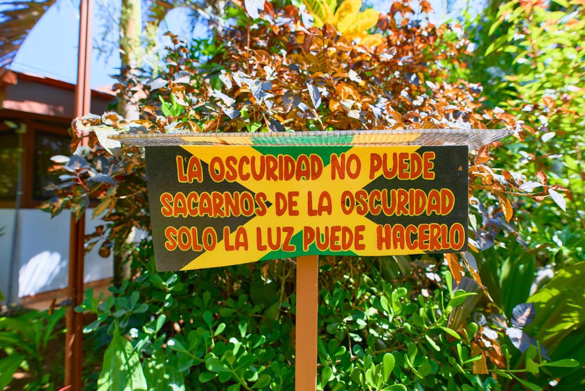 Casa Coki - Modern Villa Pool Steps From The Beach Puerto Viejo de Talamanca エクステリア 写真