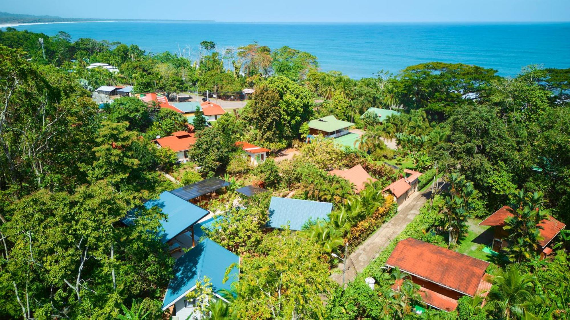Casa Coki - Modern Villa Pool Steps From The Beach Puerto Viejo de Talamanca エクステリア 写真