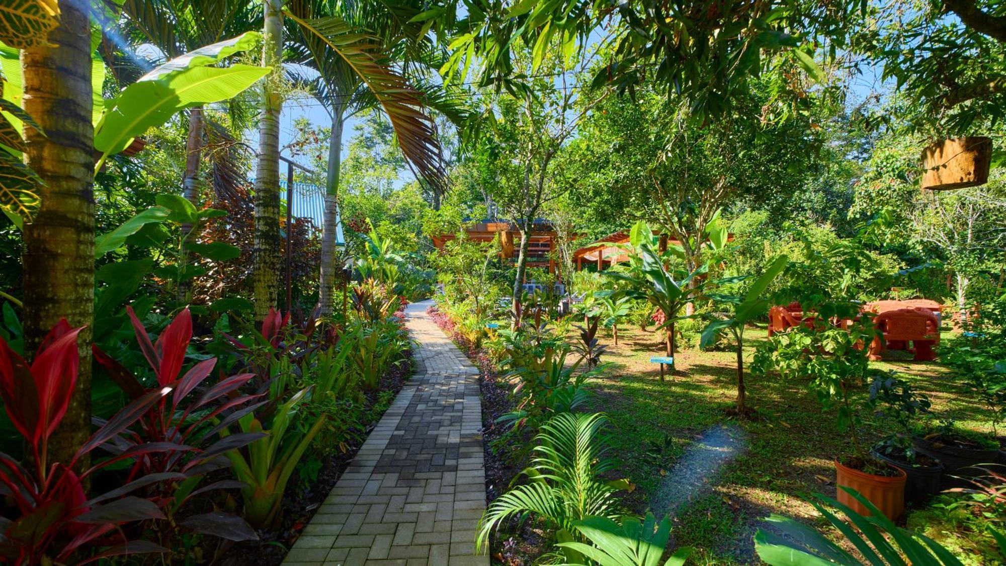 Casa Coki - Modern Villa Pool Steps From The Beach Puerto Viejo de Talamanca エクステリア 写真