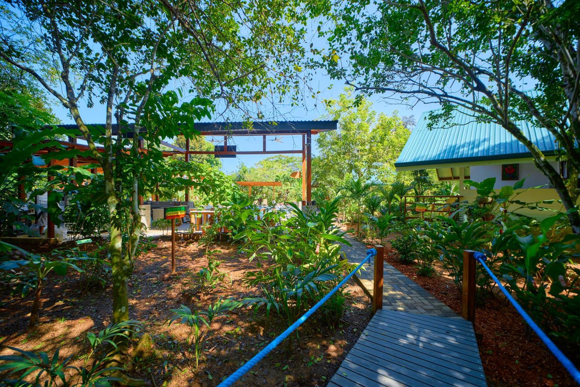 Casa Coki - Modern Villa Pool Steps From The Beach Puerto Viejo de Talamanca エクステリア 写真